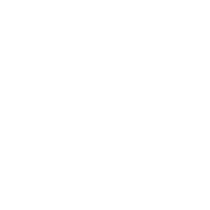 mahaprana logo